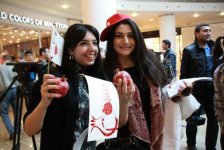 В Азербайджане состоится праздничный концерт, посвященный Фестивалю граната (фото)