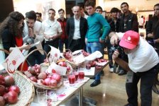 В Азербайджане состоится праздничный концерт, посвященный Фестивалю граната (фото)