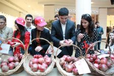В Азербайджане состоится праздничный концерт, посвященный Фестивалю граната (фото)