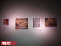 В Баку открылась выставка работ Имрана Нур-Али (фотосессия)