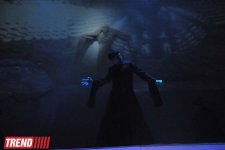 В Баку состоялась премьера спектакля Йонаса Вайткуса "Семь красавиц" – современный взгляд на произведение Низами (фото)