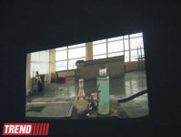"Песня Апшерона" художника из Норвегии, или "Великий вождь", "Венецианские строфы"…(фото)