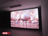 В Баку состоялась мировая премьера проекта AES+F "Трилогия" (фотосессия)