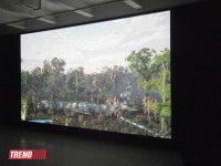 В Баку состоялась мировая премьера проекта AES+F "Трилогия" (фотосессия)