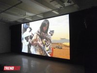 В Баку состоялась мировая премьера проекта AES+F "Трилогия" (фотосессия)