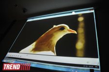 В Баку состоялась пресс-конференция Фаига Агаева - новый клип, соло-концерт и подарок на "Конец света" (фото)