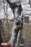 Заснеженный Баку (фотосессия)