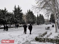 Заснеженный Баку (фотосессия)