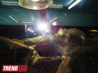 Путешествие по Дубаю: самый большой в мире аквариум - глазами азербайджанца (фотосессия)