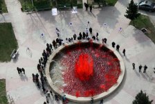 В Баку прошла креативная акция "Неделя лейкемии" (видео-фото)