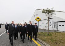 Президент Азербайджана принял участие в открытии Габалинского молочно-животноводческого комплекса (ФОТО)