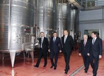 Президент Азербайджана принял участие в открытии завода по переработке винограда в Габале (ФОТО)
