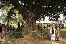 Путешествие в Индию с Гюльнарой Халиловой: Red Fort - императорский город Шах Джахана (фото, часть вторая)