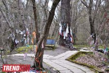 Путешествие в Хачмаз - святыня Вели Амир (фото)
