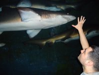 Дубай глазами режиссера Общественного телевидения Азербайджана (фотосессия)