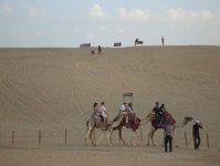 Новогодний репортаж Эльджана из жаркого Дубая (ФОТО)