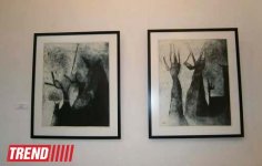 В Баку открылась выставка "Эко арт" - арт-объект "Рыба, птица, человек"... (фото)