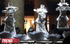 Московская группа "Extravaganza"  выступила в Баку в необычных костюмах - неоновое шоу (фото)
