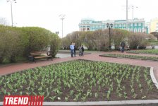 Путешествие в Екатеринбург: "Красная линия", Храм-на-крови , памятник Человеку-невидимке  (фото, часть 2)