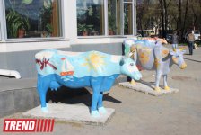 Путешествие в Екатеринбург: "Красная линия", Храм-на-крови , памятник Человеку-невидимке  (фото, часть 2)