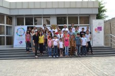 В Сальяне организована выставка в рамках "Azerbaijan Art Festival-2013" (фото)