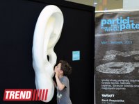 "YARAT!" представил проект азербайджанской художницы Афет Багировой "Расскажи мне свой секрет" (ФОТО)