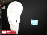 "YARAT!" представил проект азербайджанской художницы Афет Багировой "Расскажи мне свой секрет" (ФОТО)