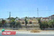 Путешествие в Тунис: первая туристическая группа из Азербайджана (фото, часть 1)