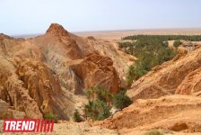 Путешествие в Тунис: первая туристическая группа из Азербайджана (фото, часть 1)