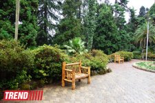 Путешествие в Батуми: Сады Семирамиды на станции Зеленый Мыс (фото, часть 3)