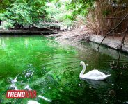Один день в Бакинском зоопарке (фоосессия)