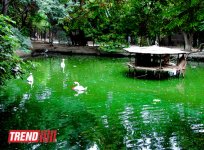 Один день в Бакинском зоопарке (фоосессия)