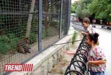 Один день в Бакинском зоопарке (фоосессия)