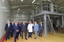 Президент Ильхам Алиев ознакомился с животноводческим и молочным комплексом в Кюрдамире (ФОТО)
