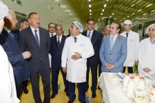 Президент Ильхам Алиев ознакомился с животноводческим и молочным комплексом в Кюрдамире (ФОТО)