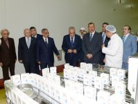 Президент Ильхам Алиев ознакомился с животноводческим и молочным комплексом в Кюрдамире (ФОТО)