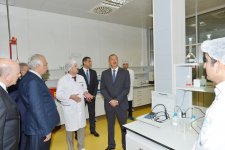 Президент Ильхам Алиев ознакомился с животноводческим и молочным комплексом в Кюрдамире (ФОТО)