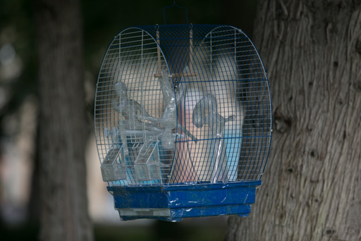 YARAT! Contemporary Art Space presents project of American artist Mark Jenkins (PHOTO)