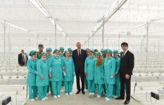 В Сабирабаде введен в строй современный тепличный комплекс (версия 2) (ФОТО)