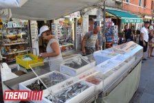 Каникулы в Венеции (фото, часть 4)