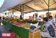 Каникулы в Венеции (фото, часть 4)