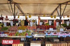 Каникулы в Венеции (фото, часть 4)