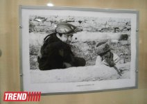 Шахмар Алекперов - 70 лет: Полжизни, посвященная азербайджанскому кинематографу  (фото)