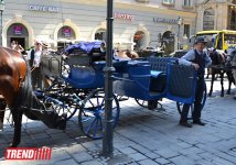 Каникулы в Вене - аномальная жара (фото, часть 1)