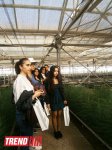 Кампания IDEA провела семинар на тему "Dünyanın ərzaq təhlükəsizliyi" (ФОТО)