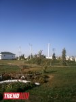 Кампания IDEA провела семинар на тему "Dünyanın ərzaq təhlükəsizliyi" (ФОТО)