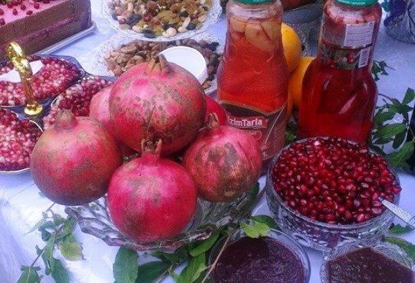 Establishment of living pomegranate museum proposed in Azerbaijan