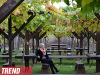 Прогулка по Болгарии: В винной избе Starosel, или как по-древне-фракийски лечит вино (фото, часть 5)