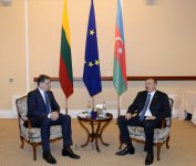 Президент Азербайджана встретился с премьером Литвы (ФОТО)