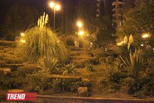 Путешествие в Сочи - День города, уникальная природа и курорт, самый длинный город Европы (ФОТО, часть 1)